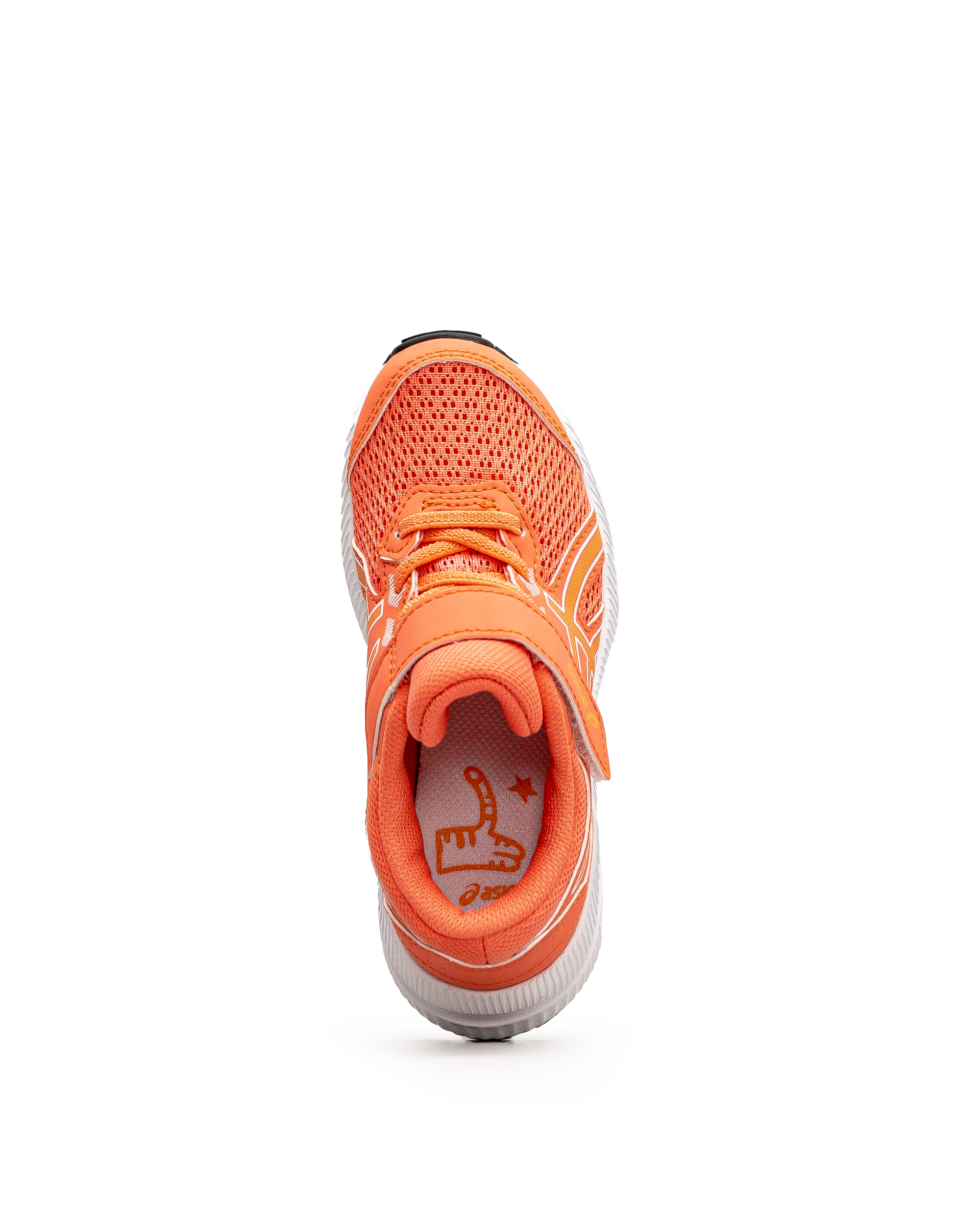 Contend 8 ps - Corail - #43E-13