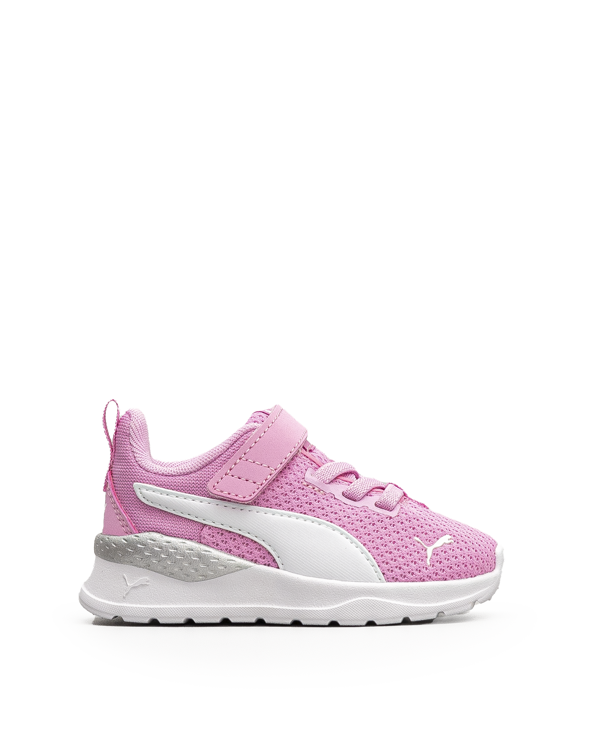 Anzarun lite td - Rose pale - #43E-19