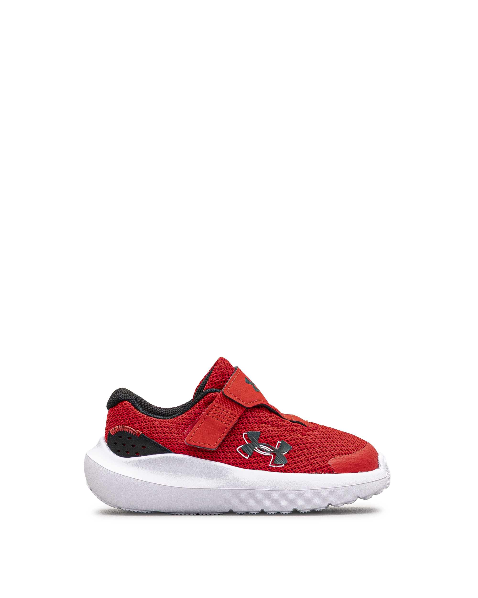 Surge 4ac td  - Rouge - #43E-60