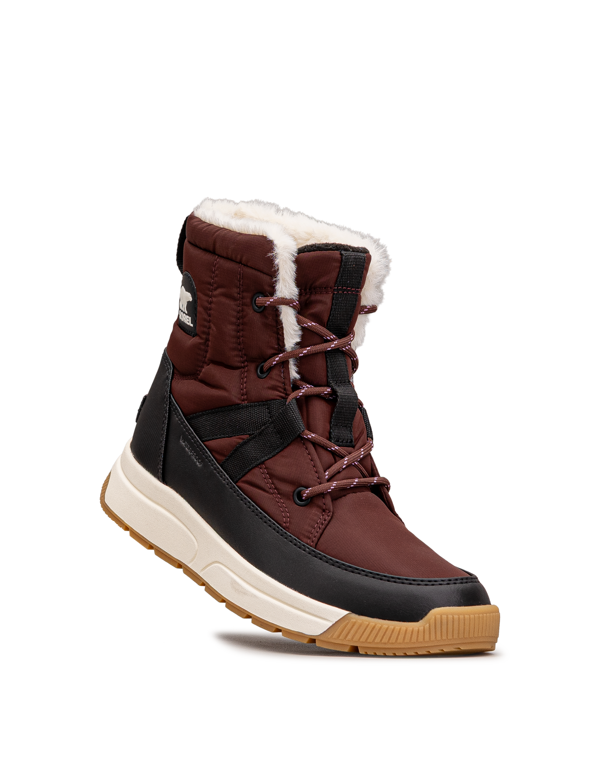 Whitney iii mid wp - Bourgogne  - #11N-42