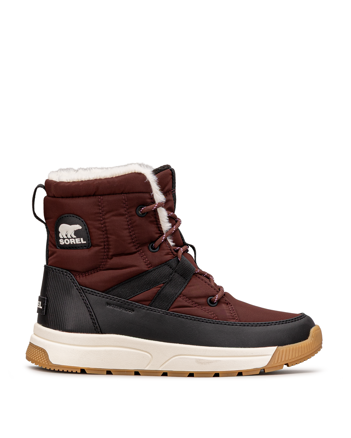 Whitney iii mid wp - Bourgogne  - #11N-42