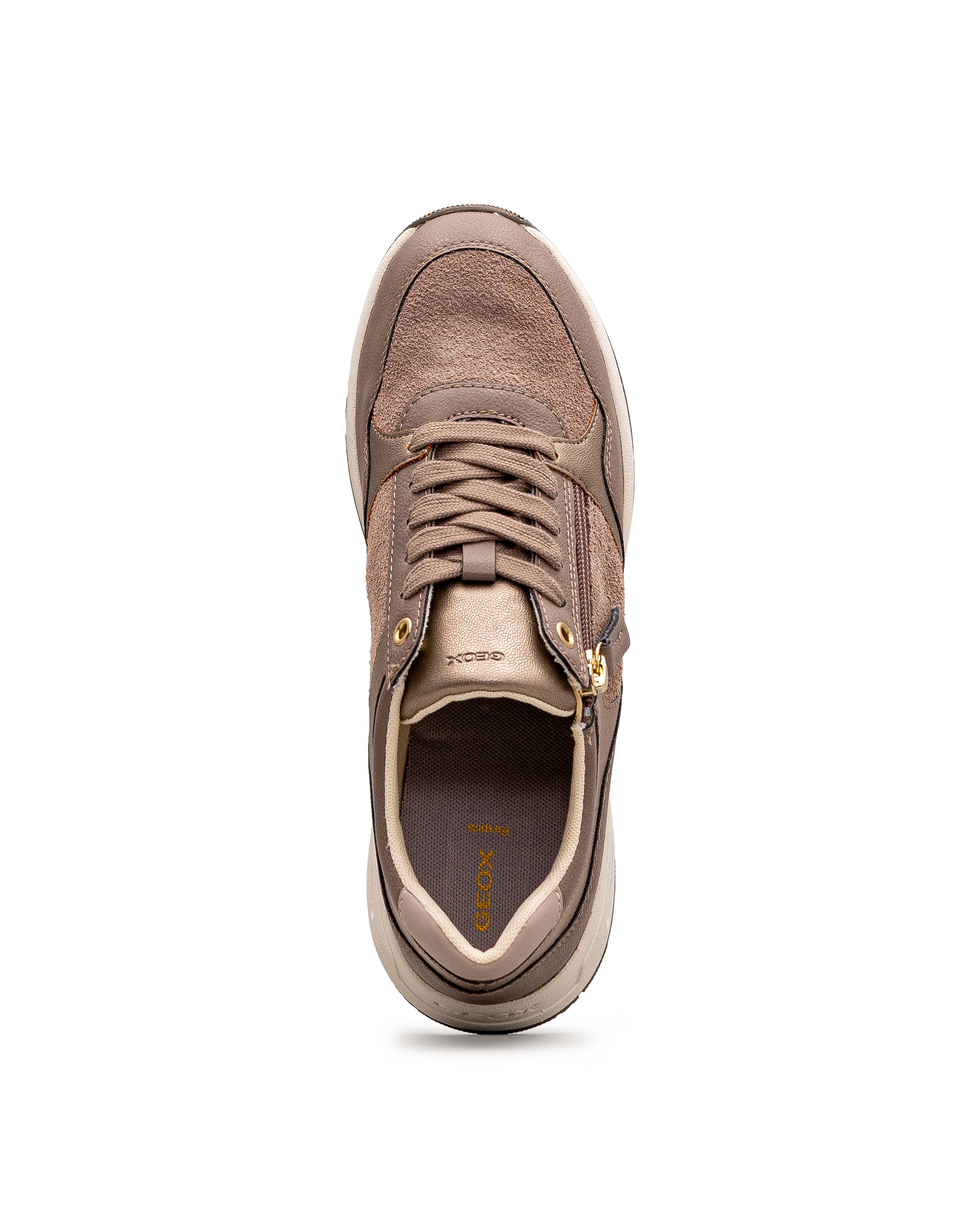 D bulmya  - Taupe - #15A-03