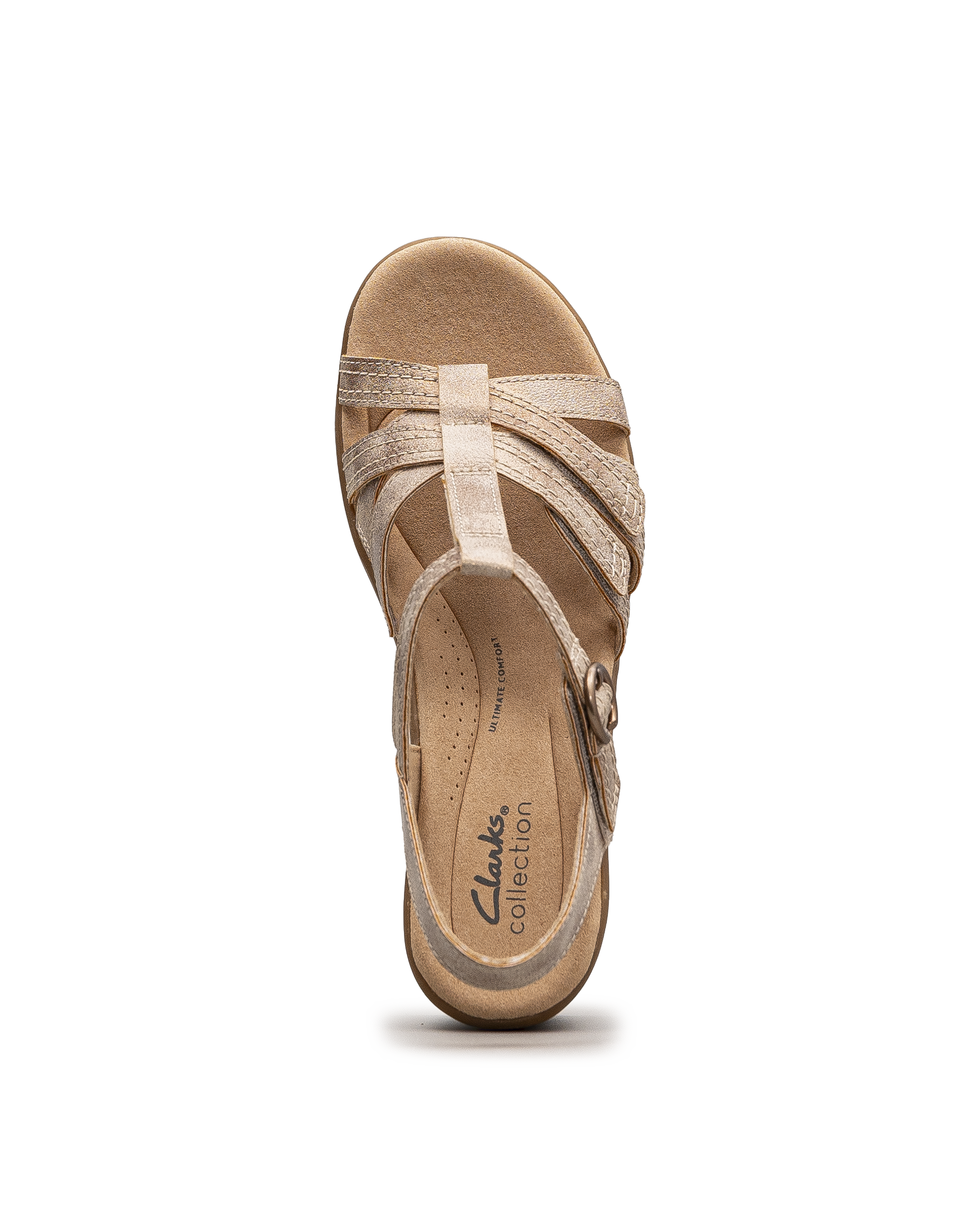 Emily2 rose - Bronze - #18A-408