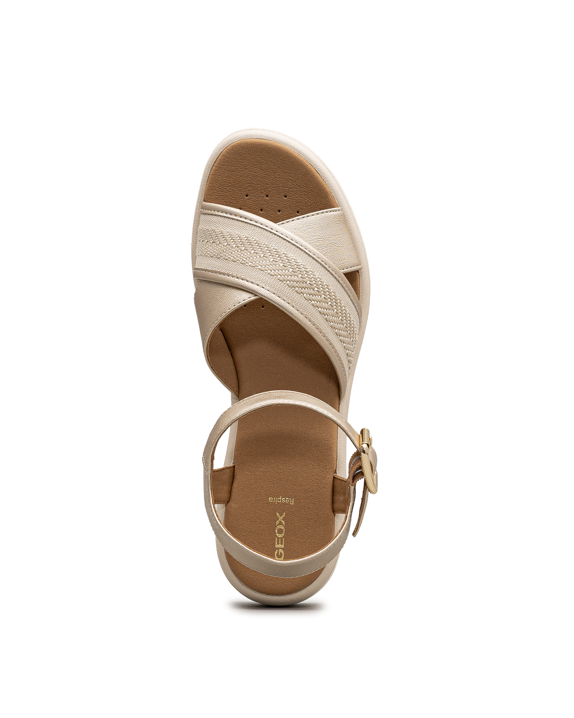 Meliconia - Or - #18C-408