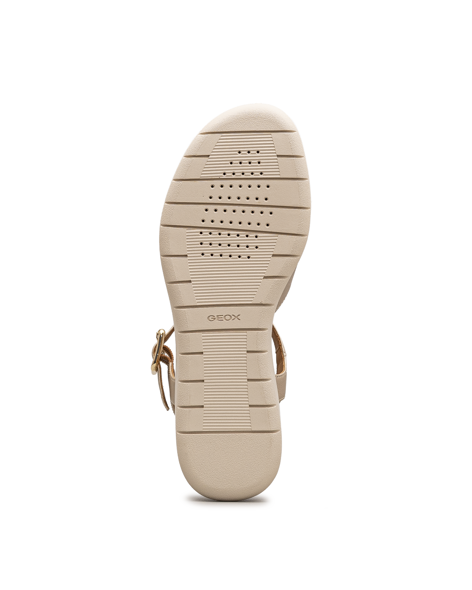 Meliconia - Or - #18C-408
