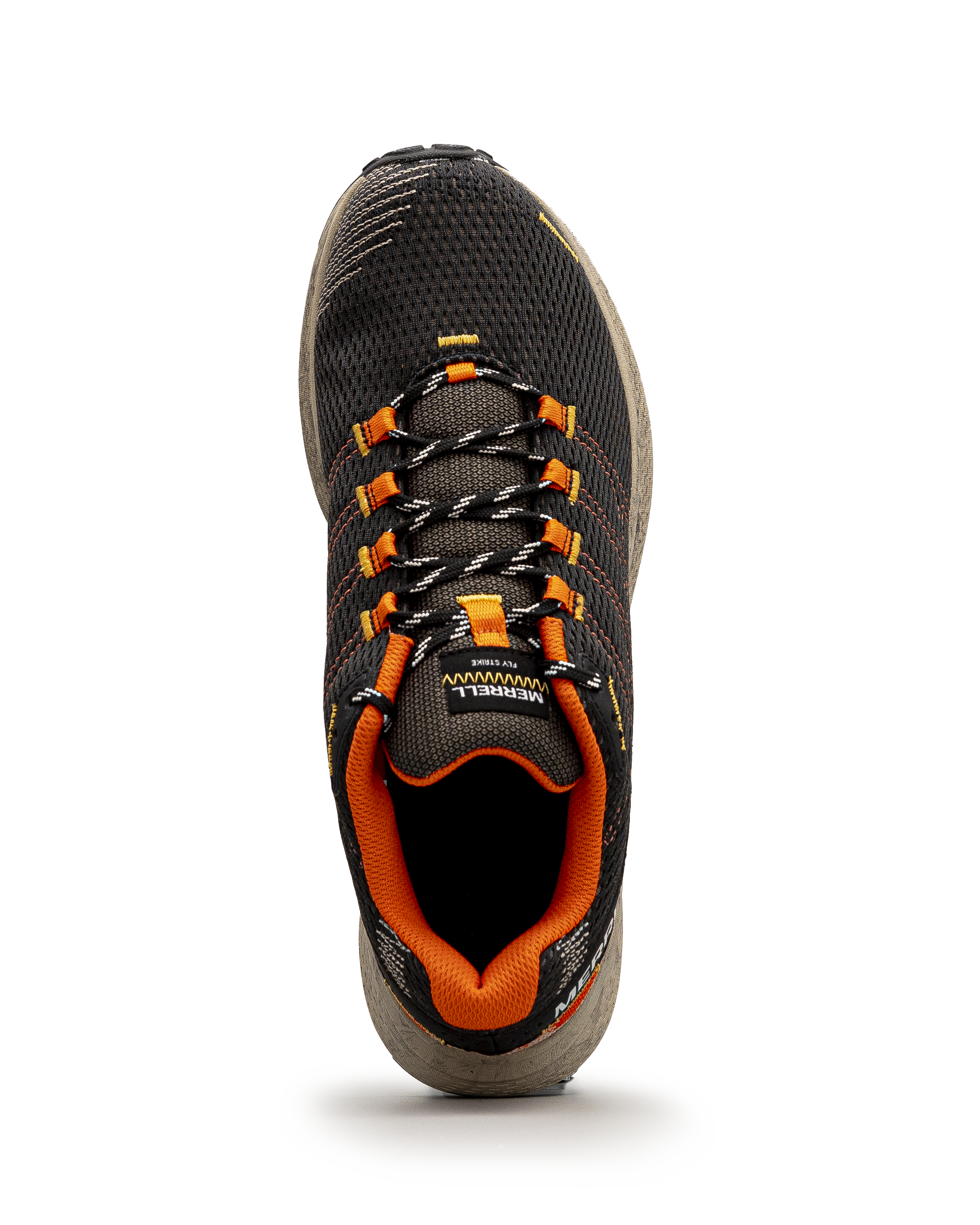 Fly strike - Blanc&rose - #23M-20