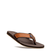 Daniel - Brun - #28A-01
