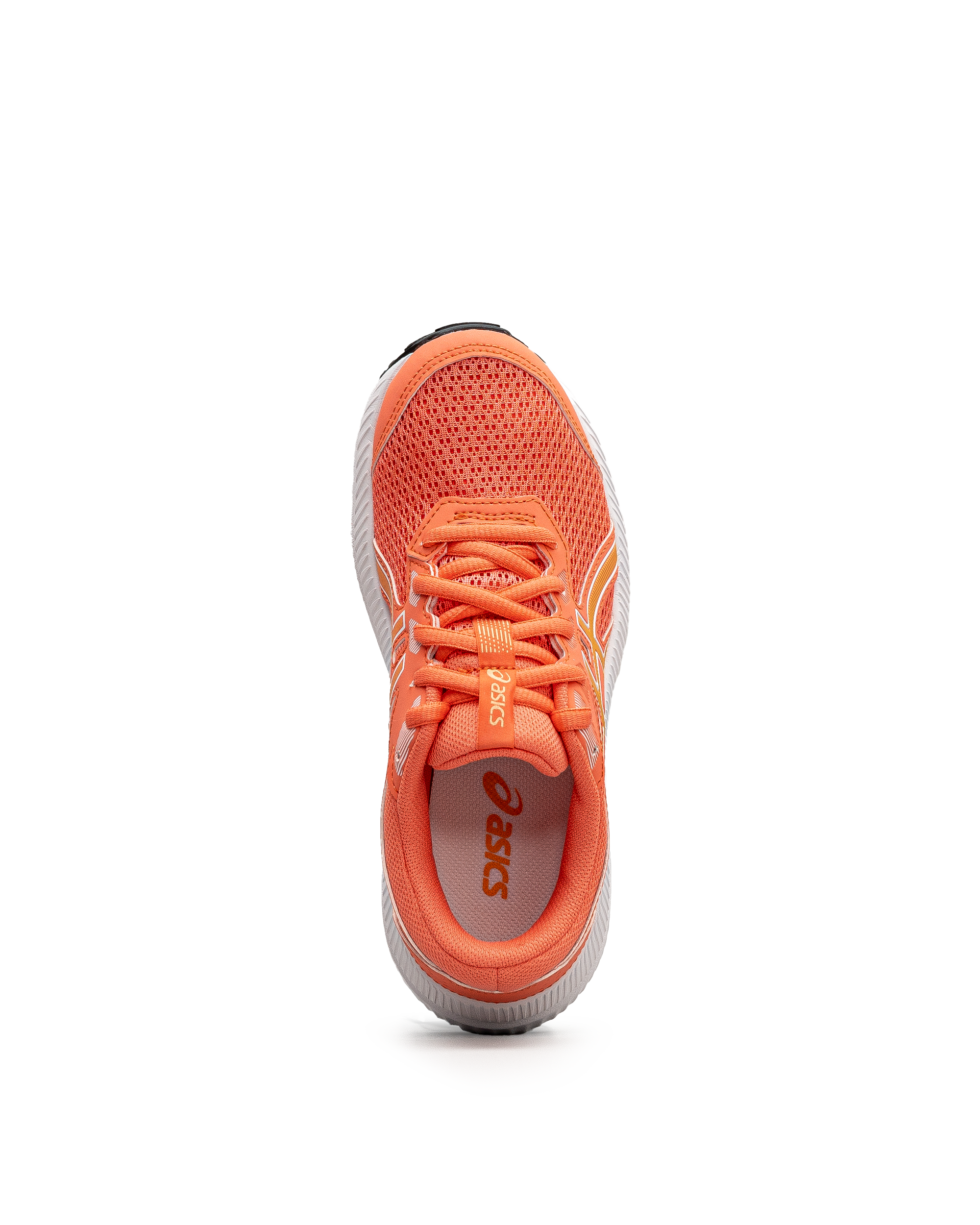 Contend 8 jr - Corail - #43E-14