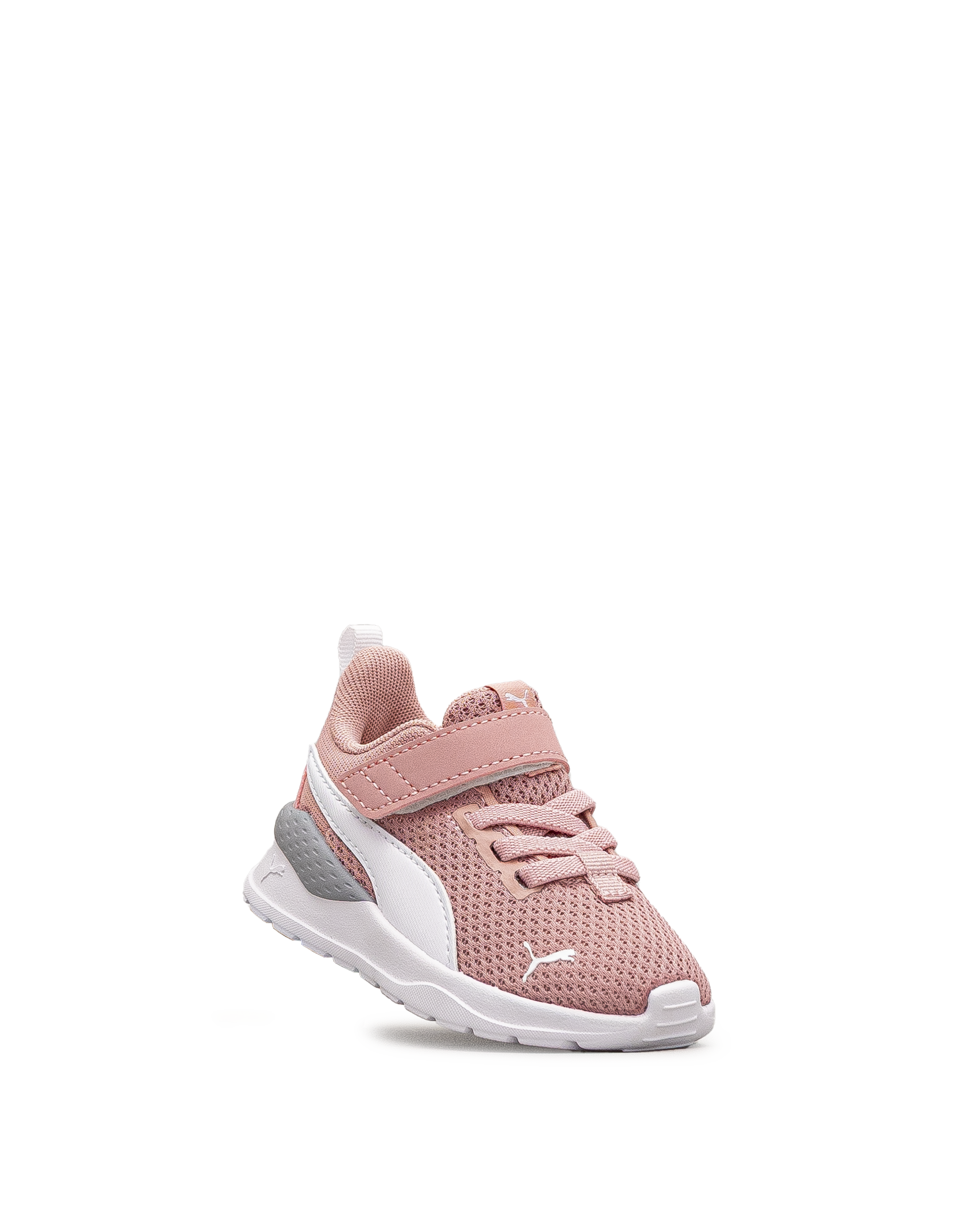 Anzarun lite td - Blanc&rose - #43E-19