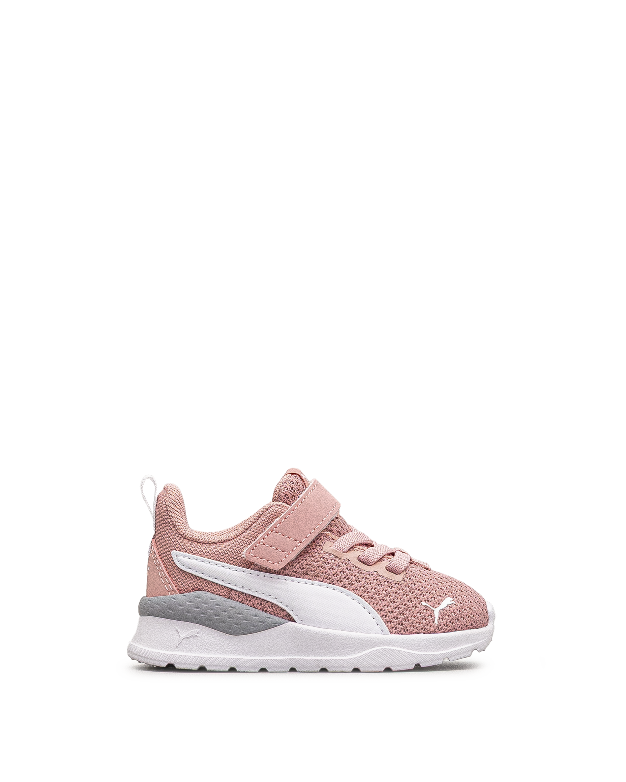 Anzarun lite td - Blanc&rose - #43E-19