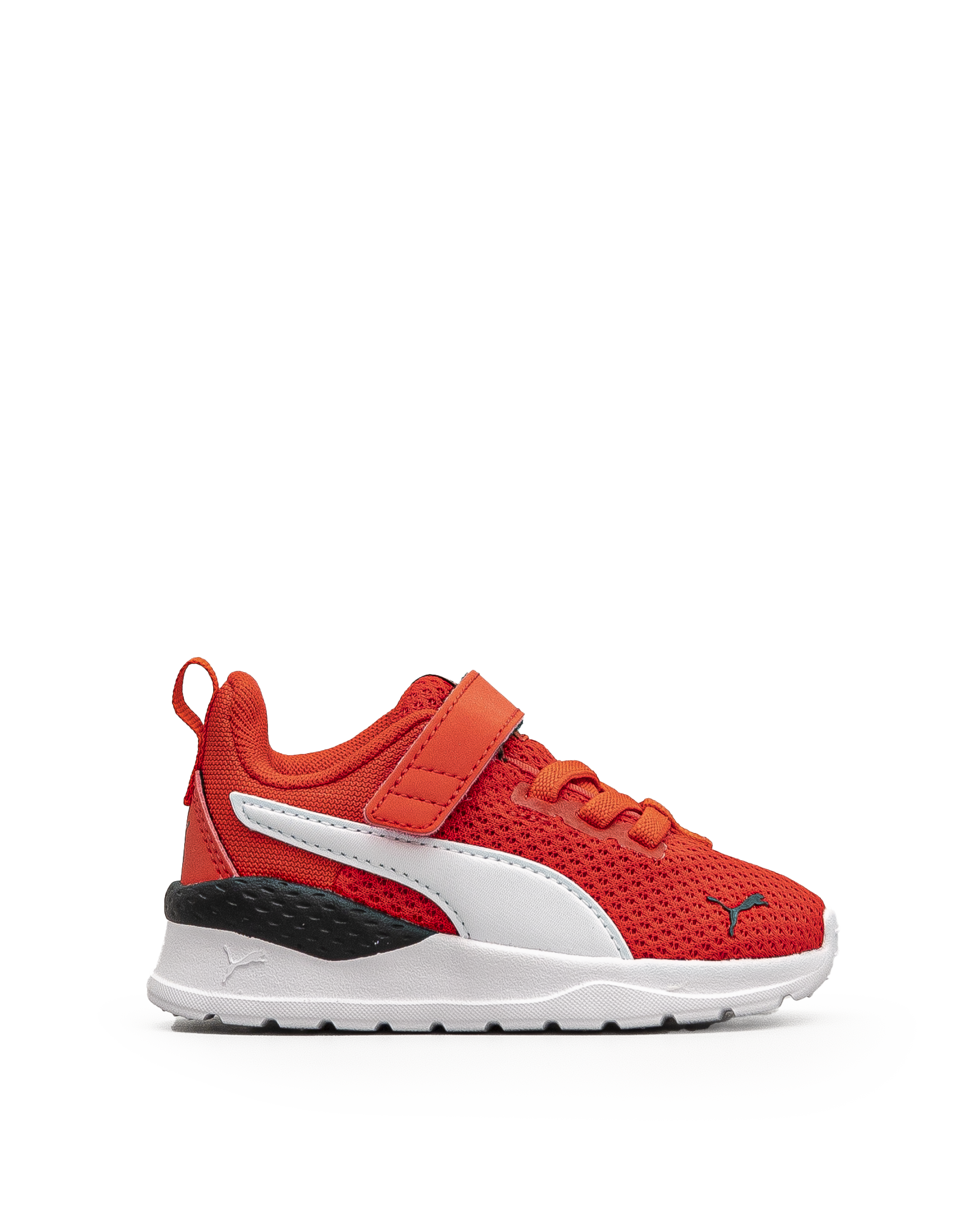 Anzarun lite td - Rouge - #43E-19