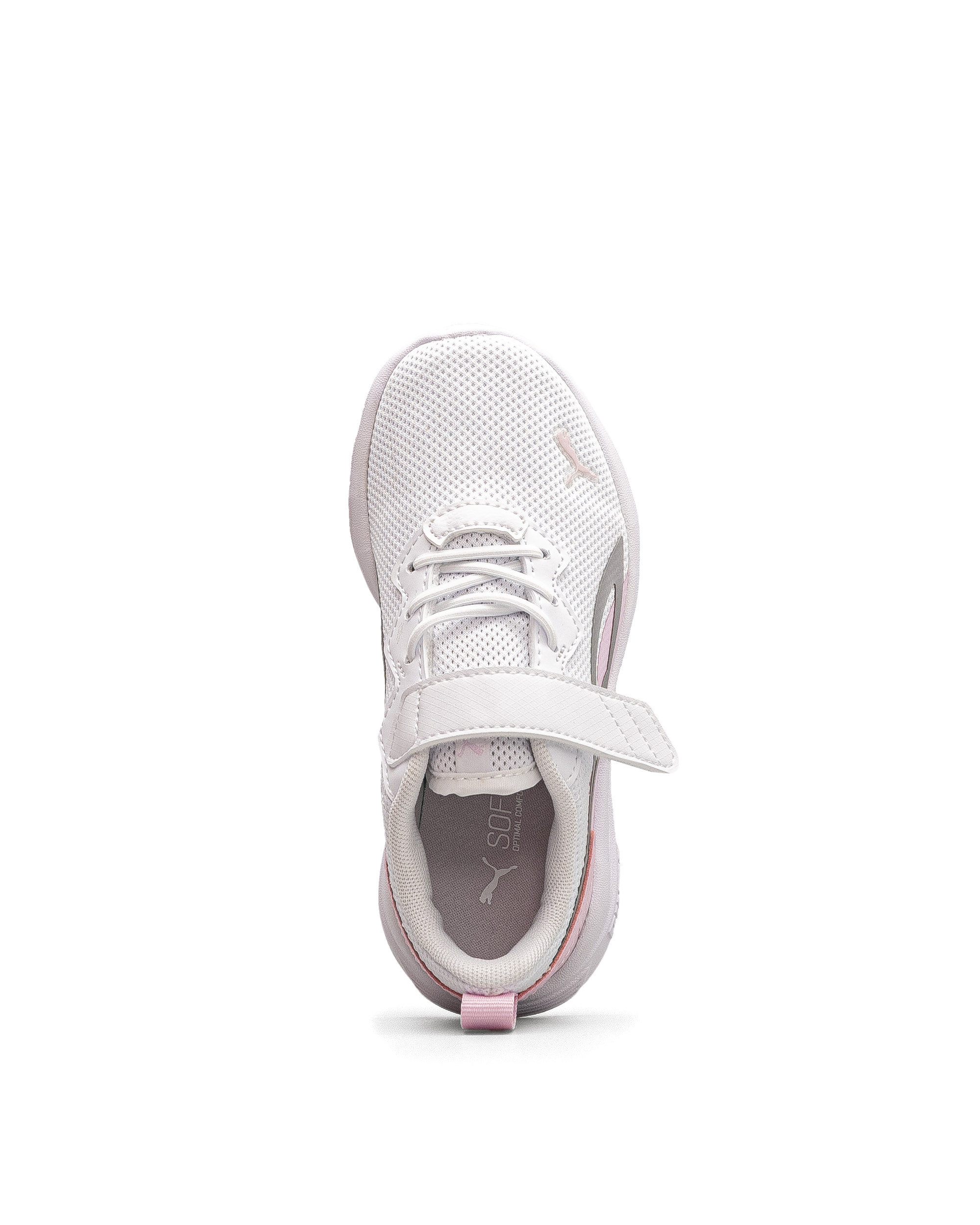 All day active ps - Blanc  - #43E-25