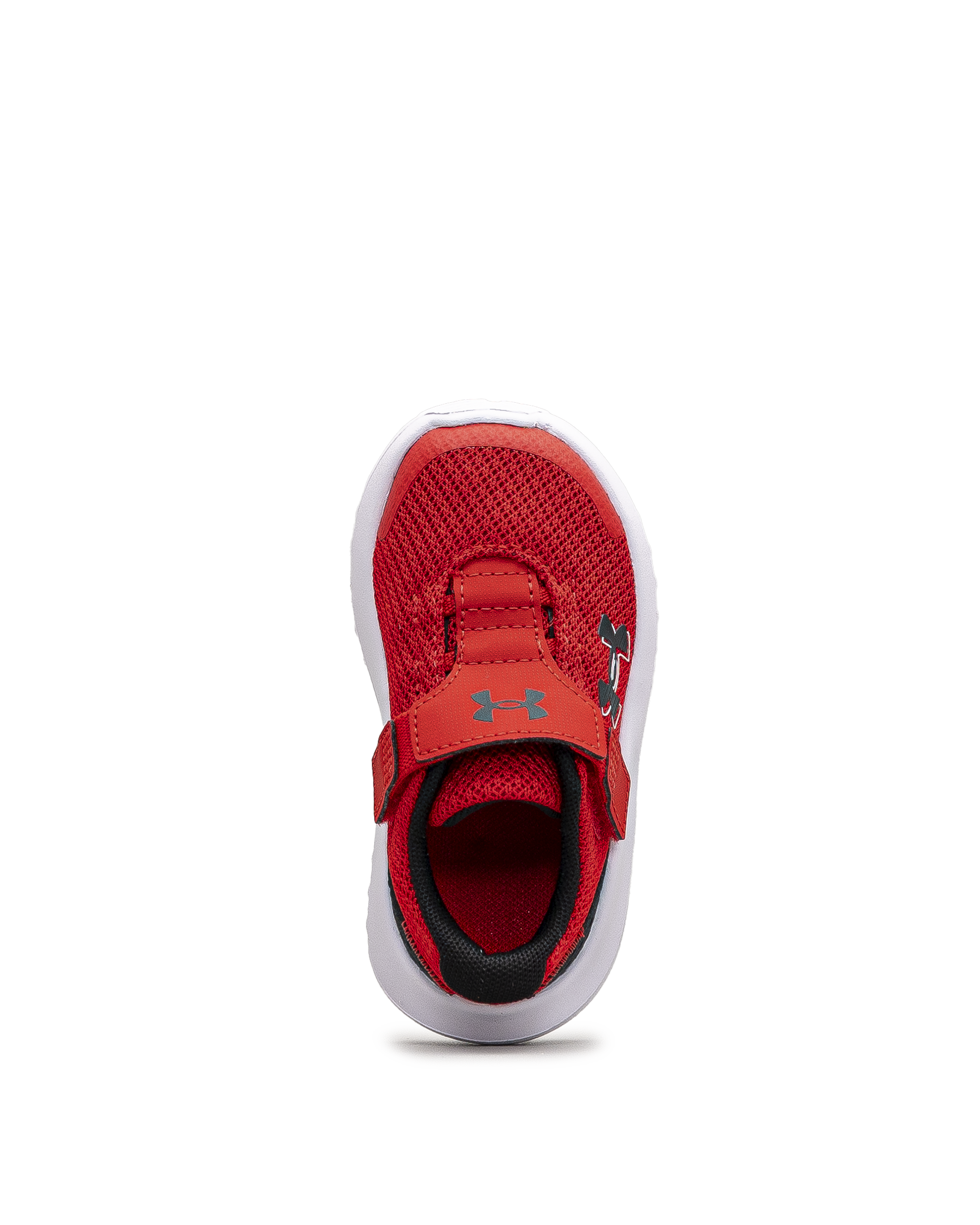 Surge 4ac td  - Rouge - #43E-60