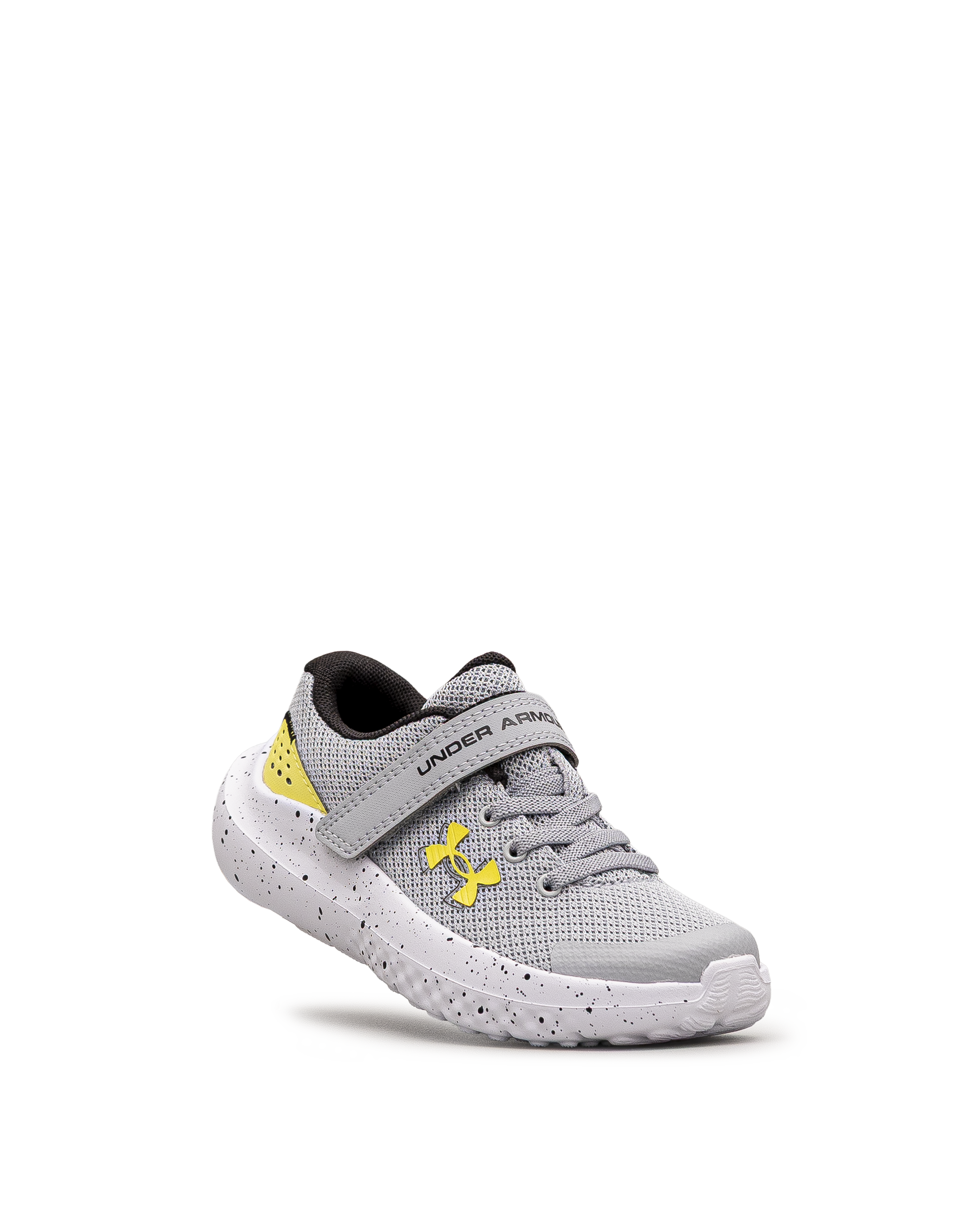 Surge 4ac ps  - Gris - #43E-61