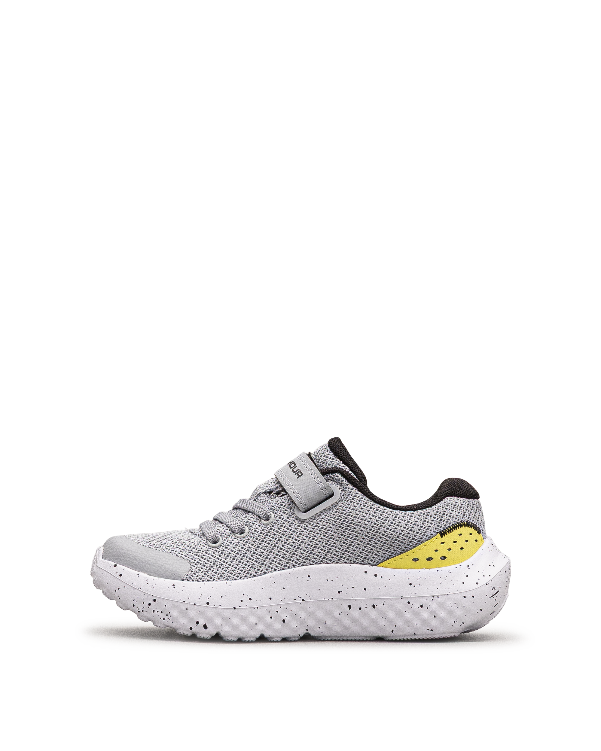 Surge 4ac ps  - Gris - #43E-61