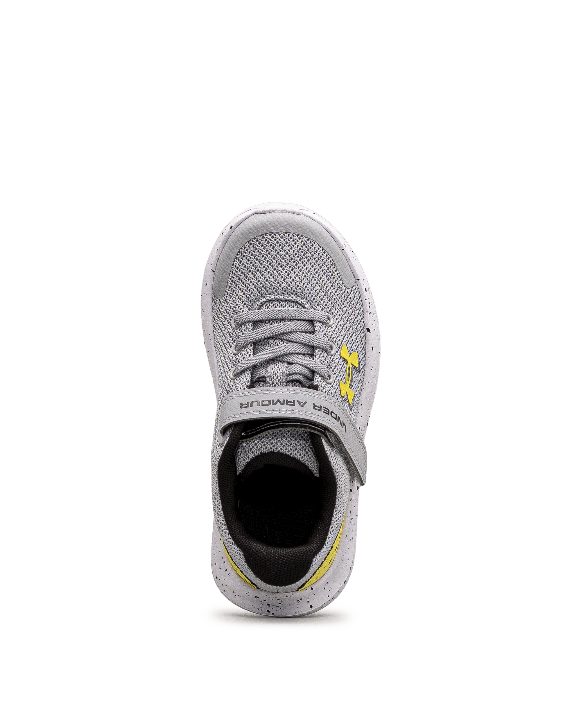 Surge 4ac ps  - Gris - #43E-61