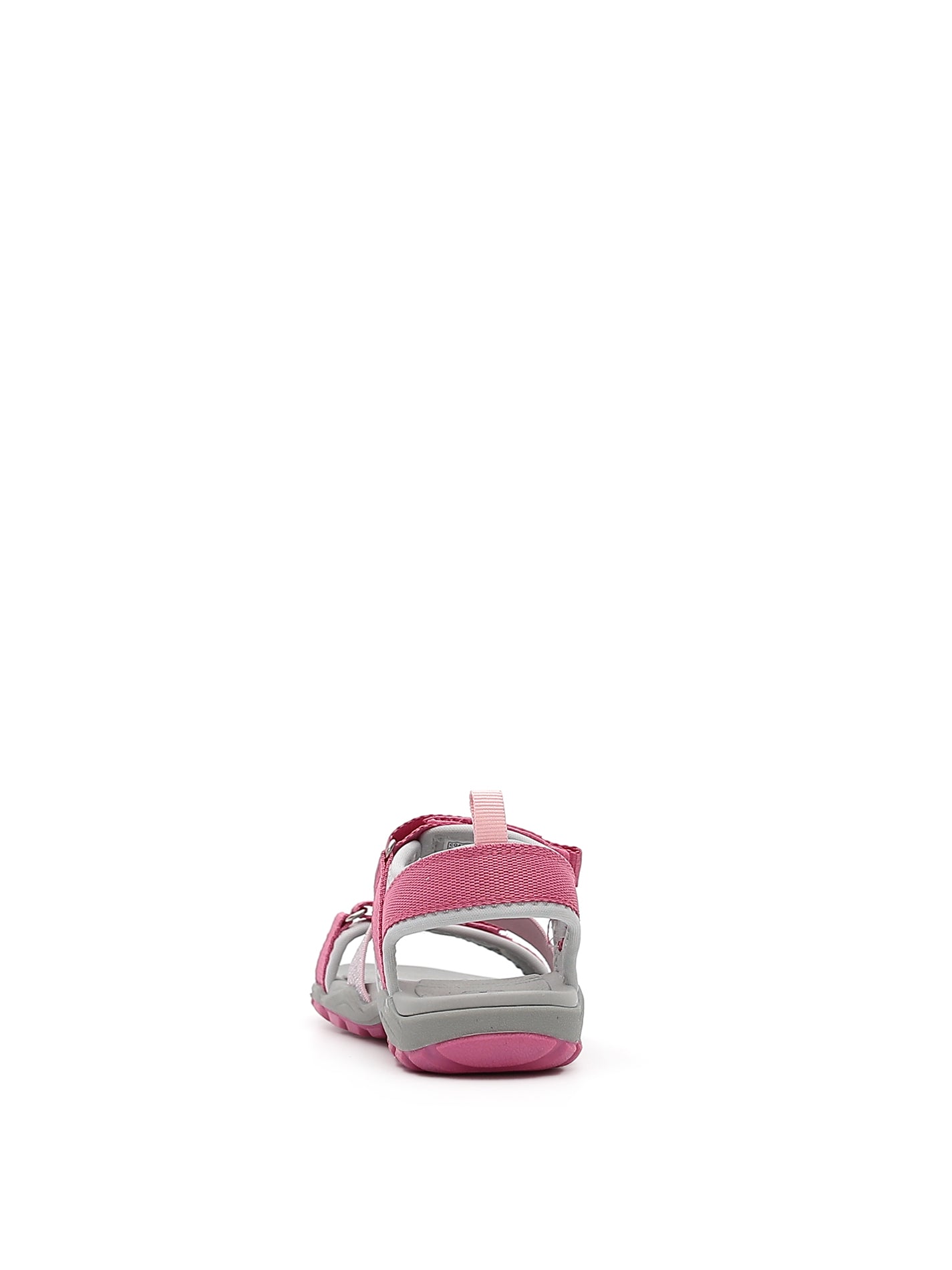 Coast ps - Rose pale - #68B-411