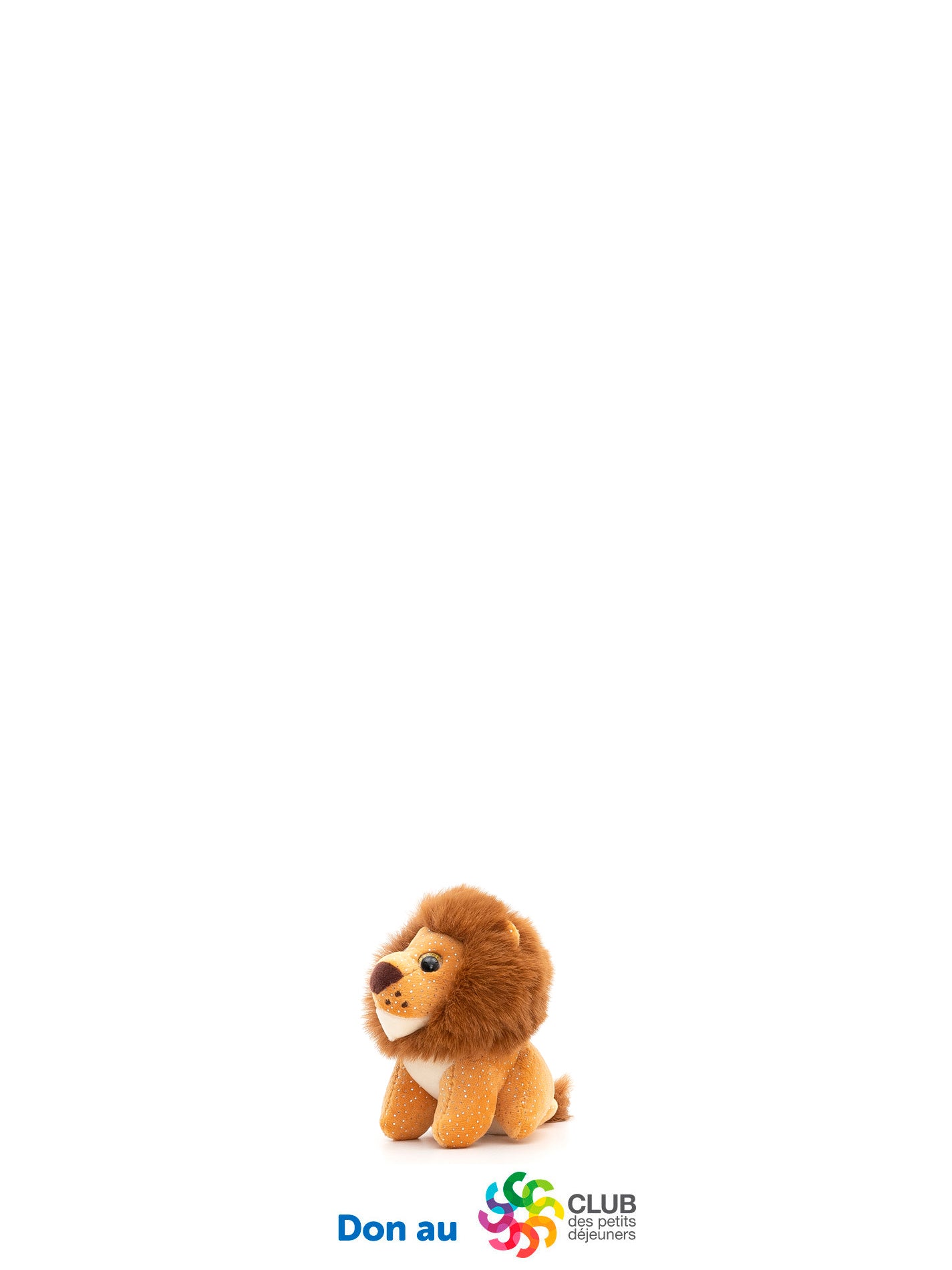Porte cle ourson - Brun - #97K-15