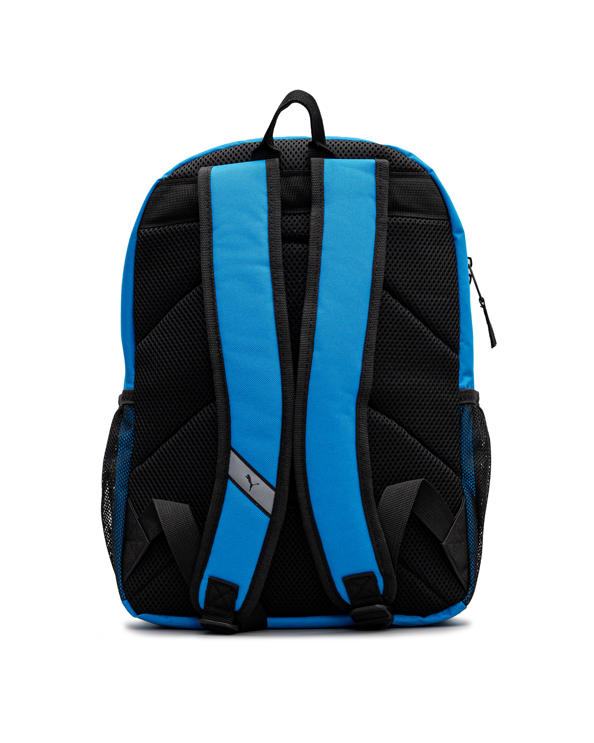 Evercat meridian 4.0  - Bleu - #97S-05