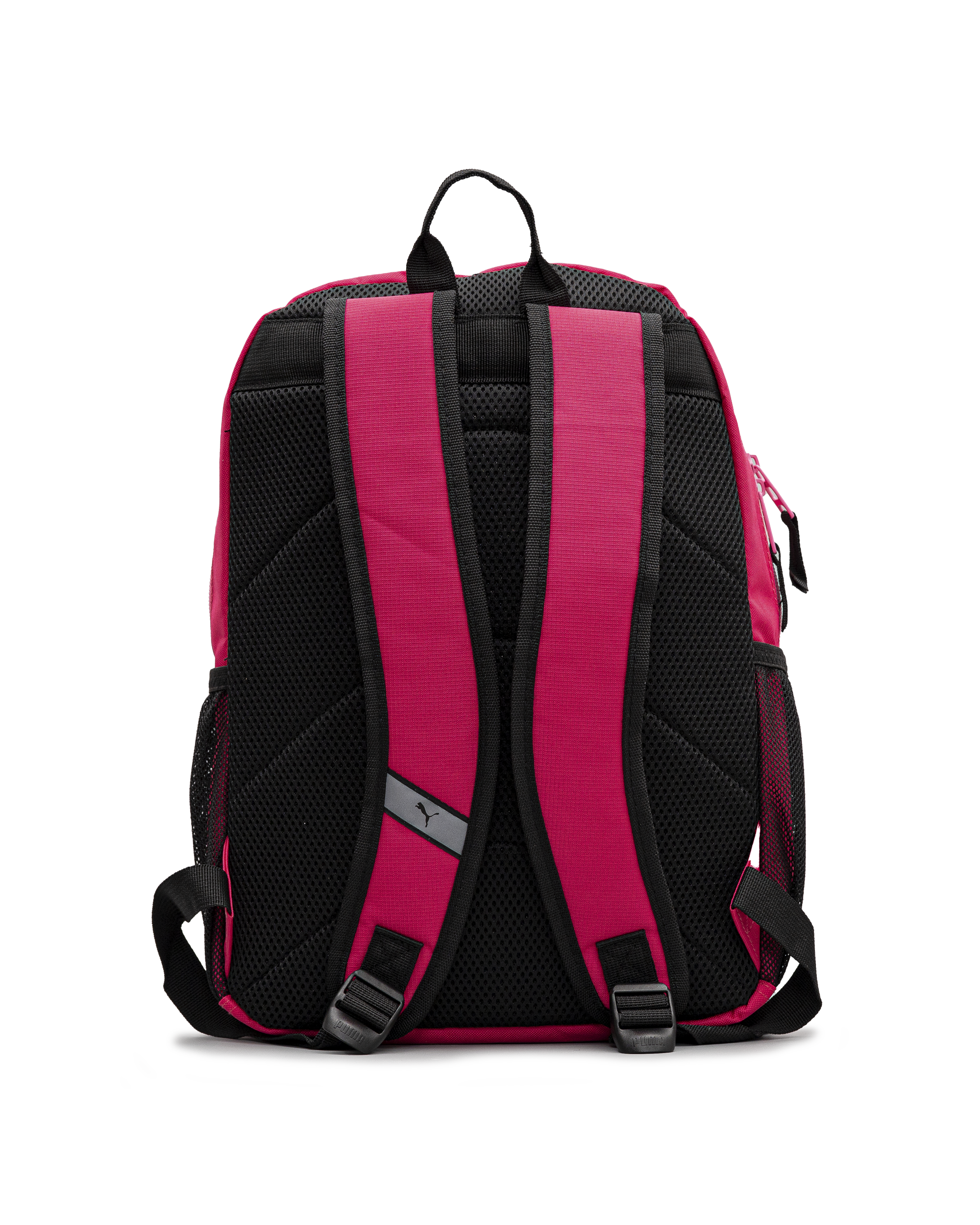 Evercat meridian 4.0  - Fushia - #97S-05